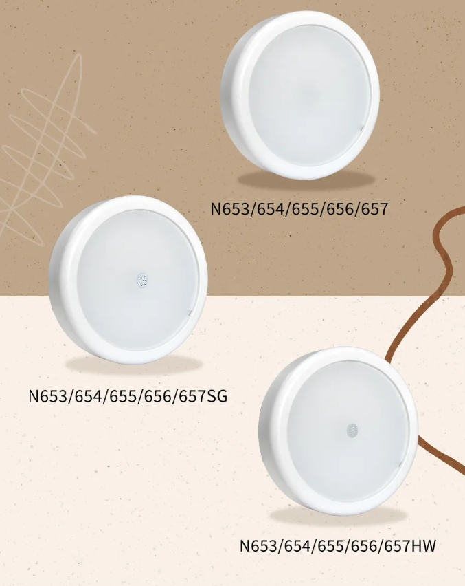 西藏海灣消防N600二線制系列集中電源集中控制型消防應(yīng)急照明燈具產(chǎn)品型號(hào)