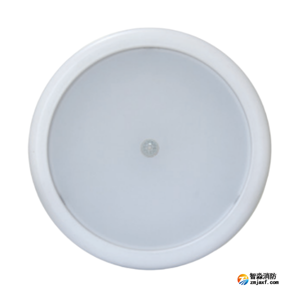 西藏海灣HW-ZFJC-E6W-N656HW集中電源集中控制型消防應(yīng)急照明燈具