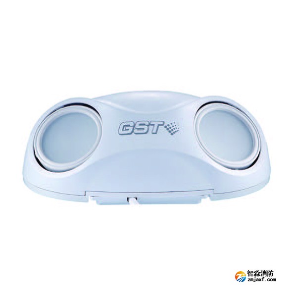 西藏海灣HW-ZFJC-E3W-SN660集中電源集中控制型消防應(yīng)急照明燈具