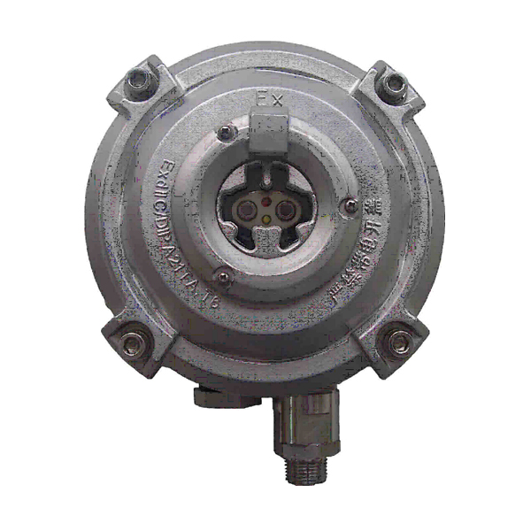 西藏海灣D-9107R防爆點(diǎn)型紅外火焰探測(cè)器